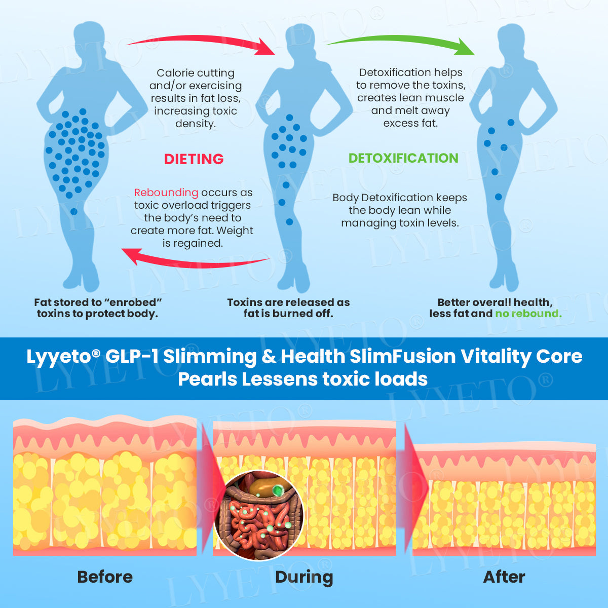 Lyyeto® GLP-1 Slimming & Health SlimFusion Vitality Core Pearls - NAD+ Moringa & ACV🔹XII