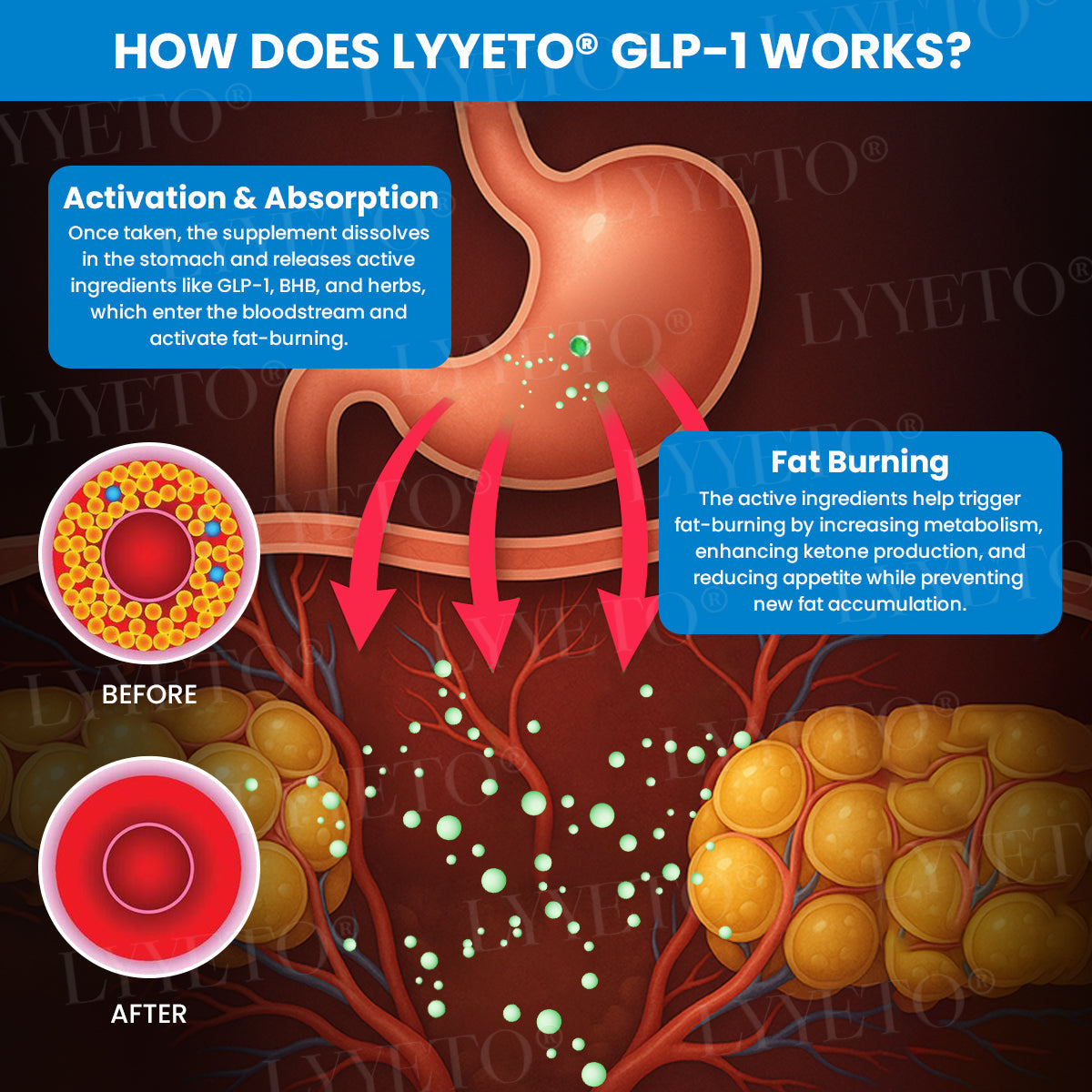 Lyyeto® GLP-1 Slimming & Health SlimFusion Vitality Core Pearls - NAD+ Moringa & ACV🔹XII